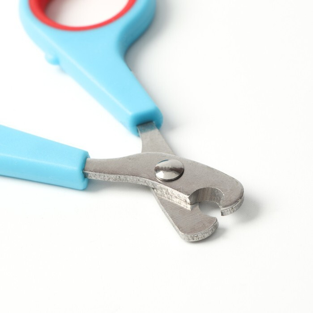 Набор по уходу за когтями: ножницы-когтерезы (отверстие 6 мм) и пилка