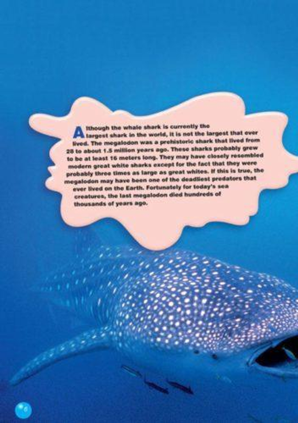 The Tiger Shark. Reader. Книга для чтения