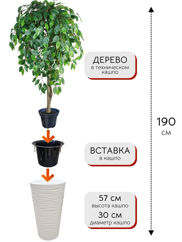 Искусственное дерево Фикус Зеленый 190 см в высоком круглом белом кашпо