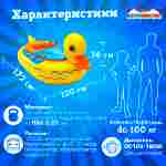 Лодка для парка аттракционов «Уточка», взрослая, на часовом механизме, 172×120×36 см