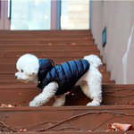 550 PA-OW Облегченная безрукавка "AIR3 / -20°~0° " Puppy Angel