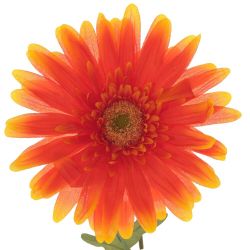 GAEM Цветок искусственный "Гербера", L28 W28 H95 см, 3в.
