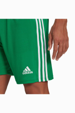 Шорты adidas Squadra 21