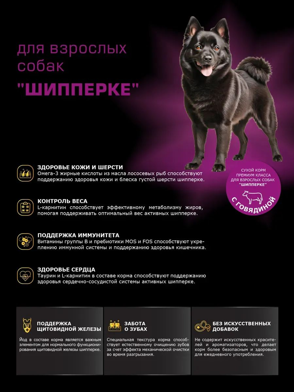 Корм сухой для взрослых собак породы Шипперке, с говядиной, 12 кг, QUATTRO