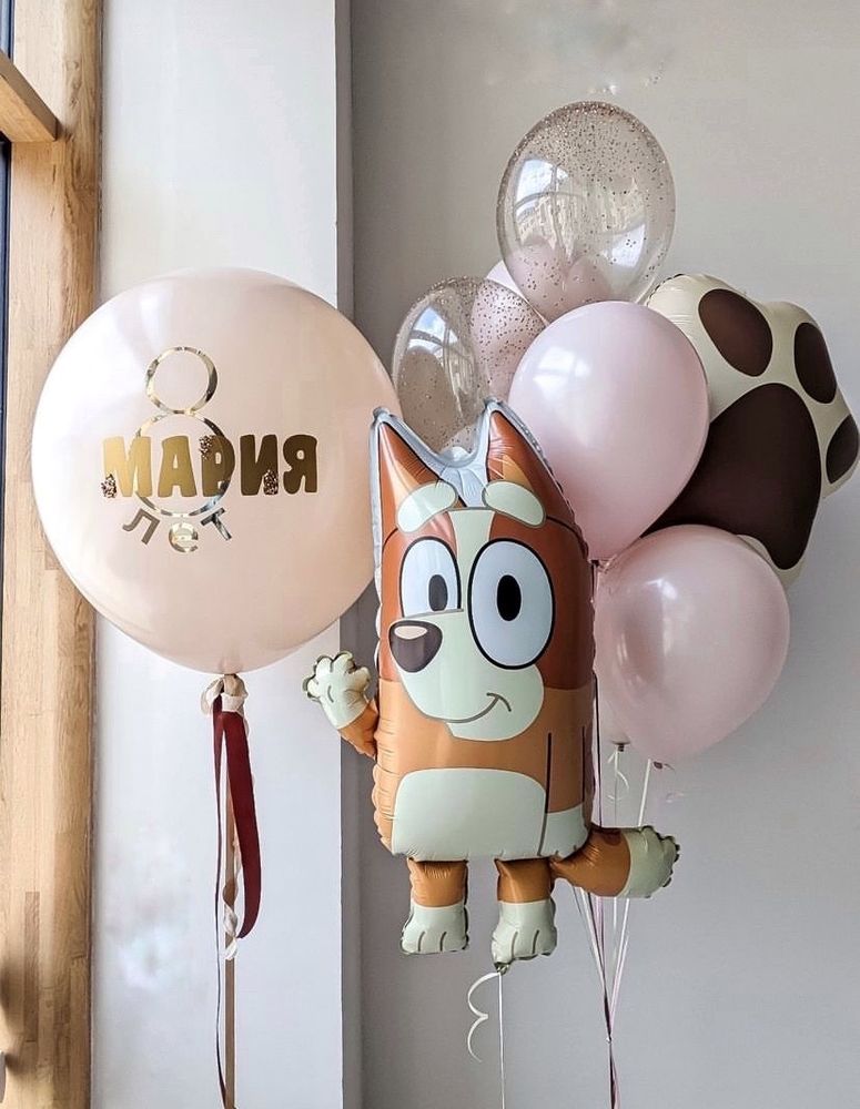 Набор шаров Шенок Бинго Блуи