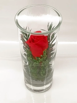 натуральные кустовые розы в стекле, вакуум*