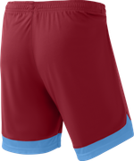 Шорты игровые DIVISION PerFormDRY Union Shorts, гранатовый/голубой/белый