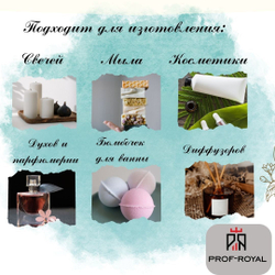 Prof-Royal отдушка парфюмерная DECADE MAN для свечей, мыла и диффузоров, 10 мл