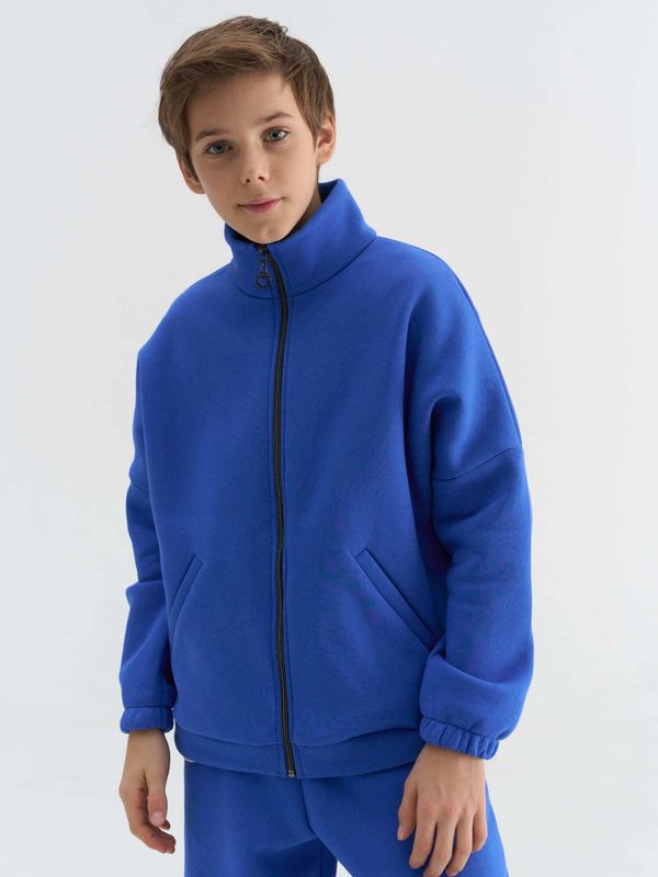 Олимпийка на молнии 