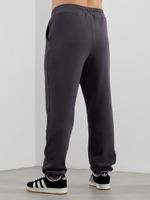 Брюки мужские Интер-3 Виотекс ГРАФИТОВЫЙ