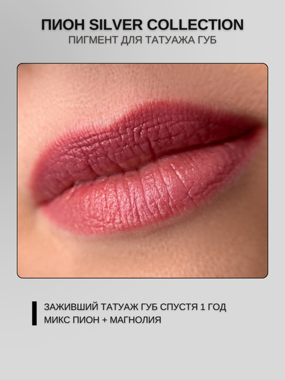 Пигменты «Silver Collection» A. Sivak. - Пигмент для татуажа бровей "Пион"