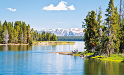 Коллекция Пейзаж