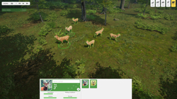 Natural Instincts: European Forest (Ранний доступ) (для ПК, цифровой код доступа)
