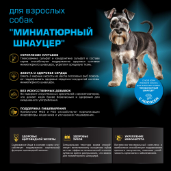 Корм сухой для взрослых собак породы Миниатюрный Шнауцер, с лососем, 2,5 кг, QUATTRO