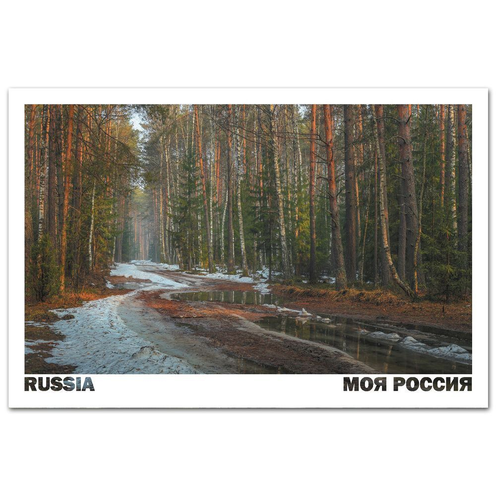 Радости межсезонья, Владимирская область