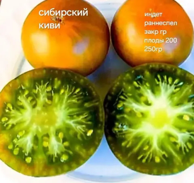 СИБИРСКИЙ КИВИ