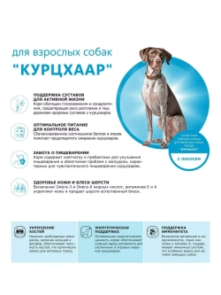 Сухой корм для собак породы Курцхаар, с лососем, 12 кг