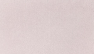 Искусственная замша Living (Ливинг) 006