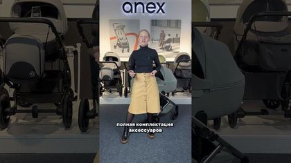 Коляска Anex Eli 2 в 1