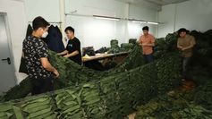 StartStore Pro: Галерея (Производство) Блок 7