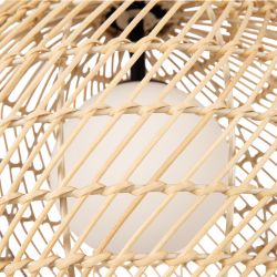 Светильник подвесной Maytoni CANE MOD204PL-01BG1