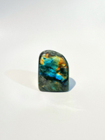 Срез Лабрадора S