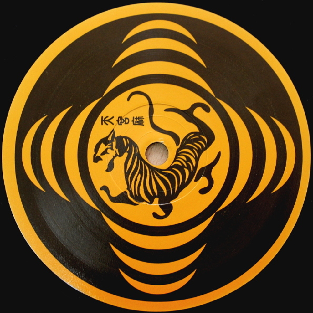 Tegma / Encoded/Decoded (2LP)