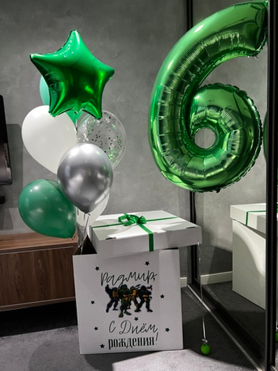 Набор шаров Черепашки ниндзя