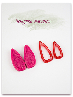 Чешуйка нарцисса (сухая)