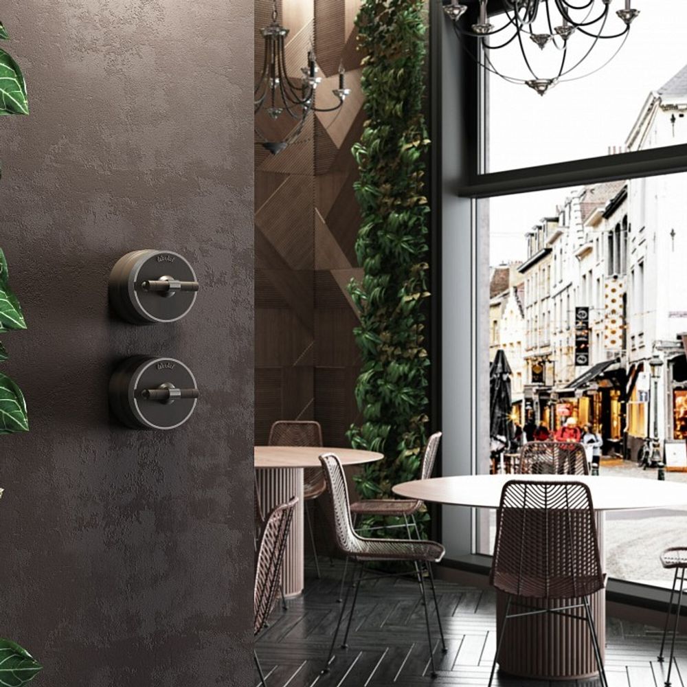 Выключатель одноклавишный с корпусом Werkel Vintage (мокко матовый/хром) W5812052