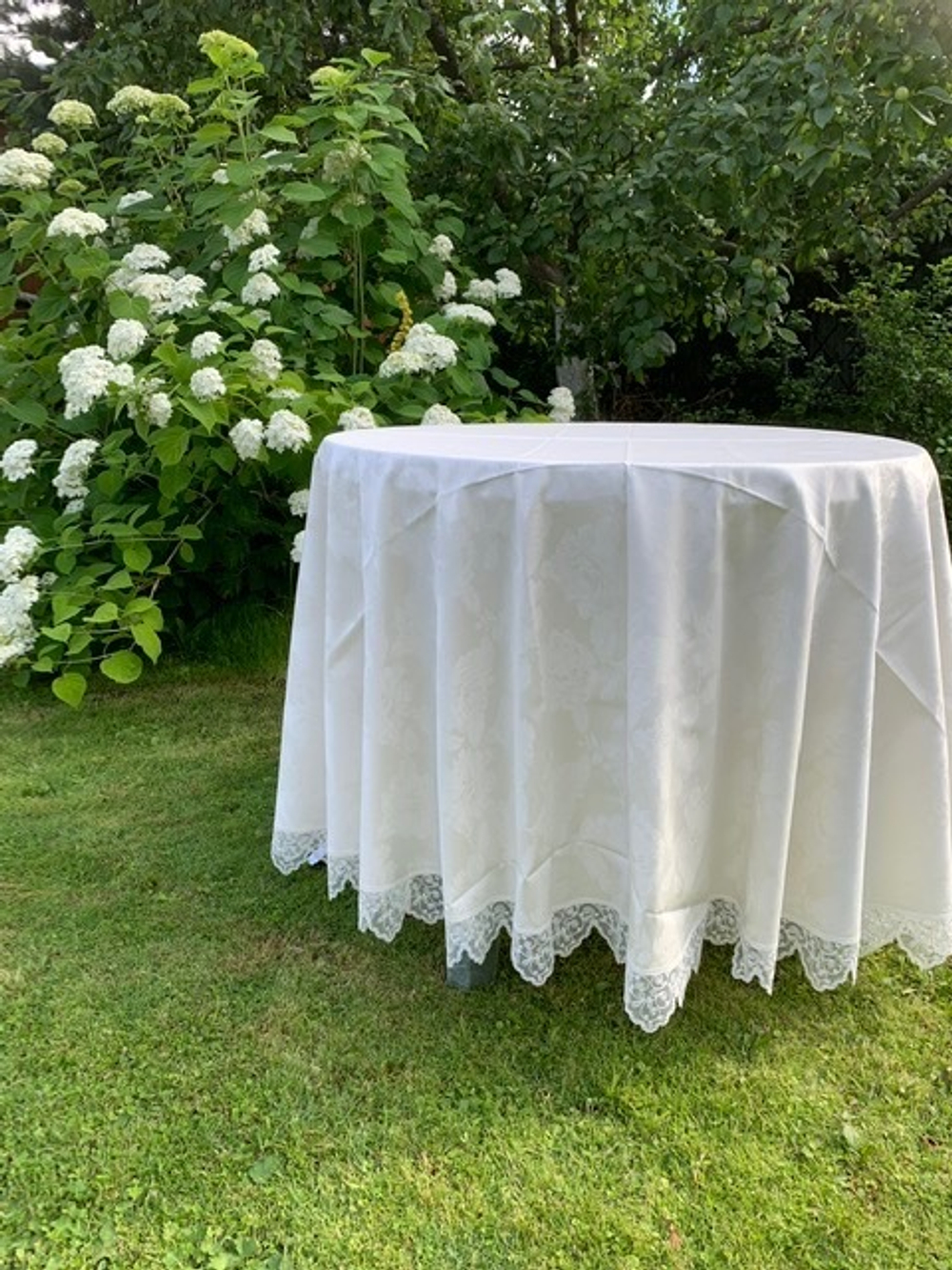 Скатерть 220 и 12 салфеток Palombella Brenda Pizzo сливочные