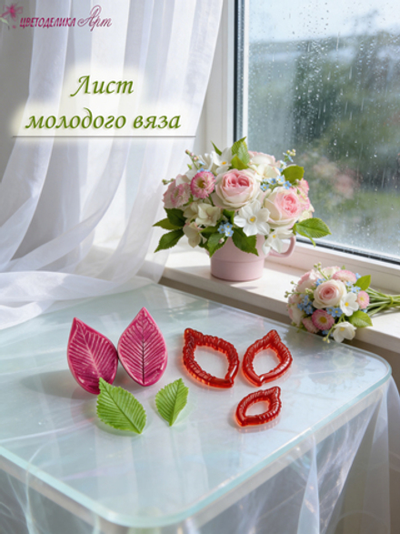 Лист молодого вяза