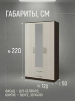 Шкаф Успех 3-х дверный 120х220х50 см с зеркалом и ящиками