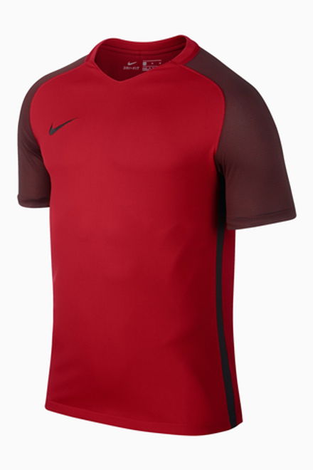 Футболка Nike Dry Revolution IV Jersey