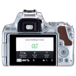 Зеркальный фотоаппарат Canon EOS 250D Kit EF-S 18-55mm f/4.0-5.6 IS STM Серебристый