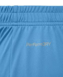 Шорты игровые DIVISION PerFormDRY Union Shorts, голубой