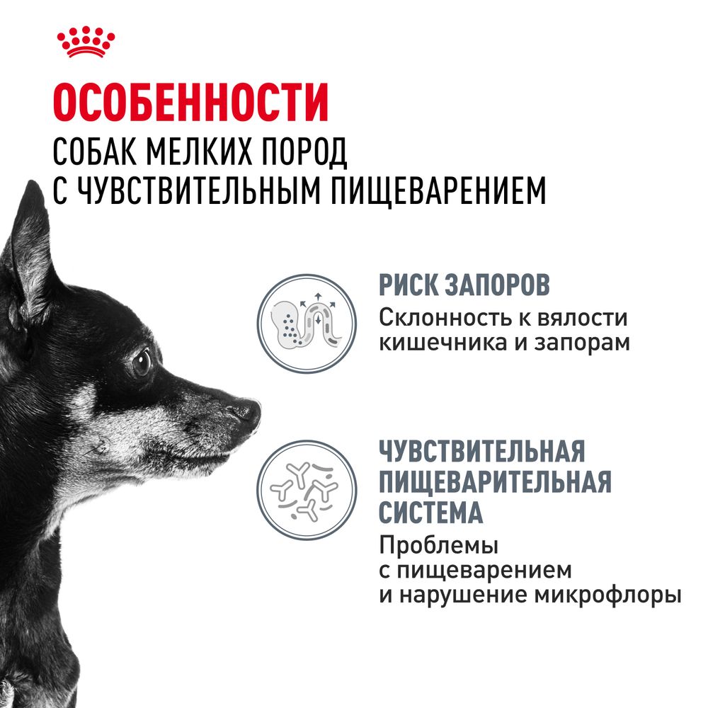 Сухой корм Royal Canin Mini Digestive Care для взрослых собак мелких размеров с чувствительным пищеварением Сухой корм Royal Canin Mini Digestive Care для взрослых собак мелких размеров с чувствительным пищеварением