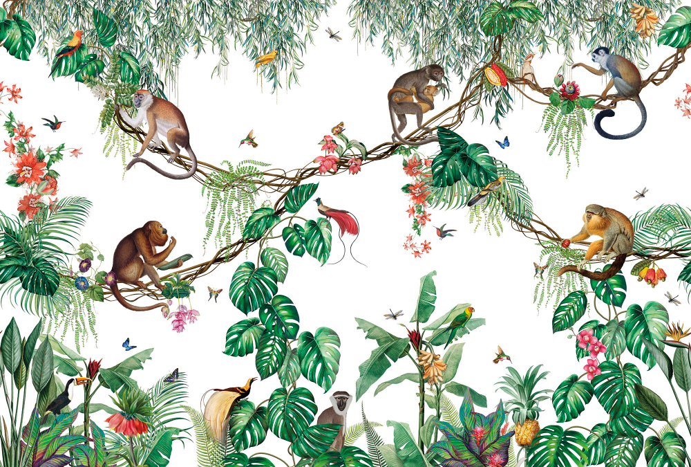 Коллекция Miracle