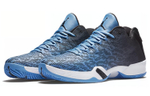 Кроссовки Jordan Air Jordan 29 Low Unc