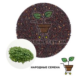 Татсой (семена)