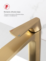 Смеситель для раковины высокий Raglo R07.15.03, золотой сатин