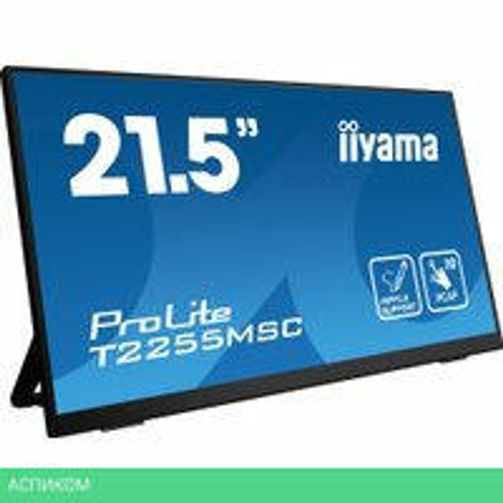 Портативный монитор Iiyama ProLite T2255MSC-B1