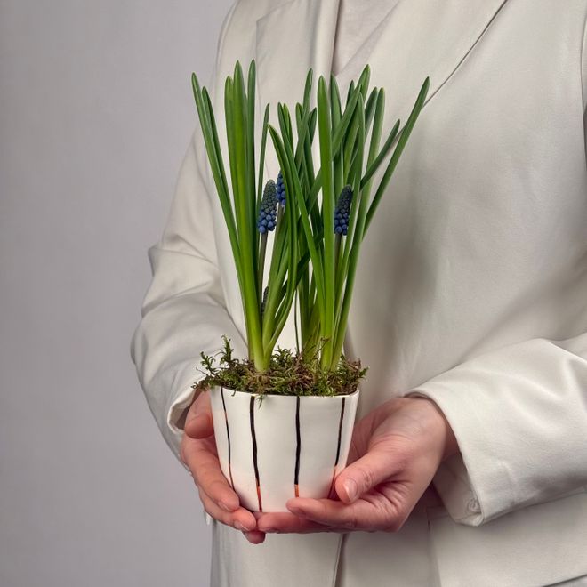 Первоцветы