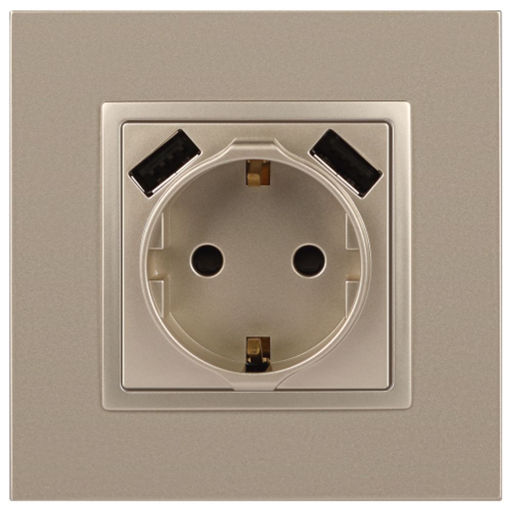 14-4109-04 ЭРА Розетка 2P+E 16A-250В, штор. с 2xUSB 5В-3А, Эра Elegance, шампань | Elegance Шампань