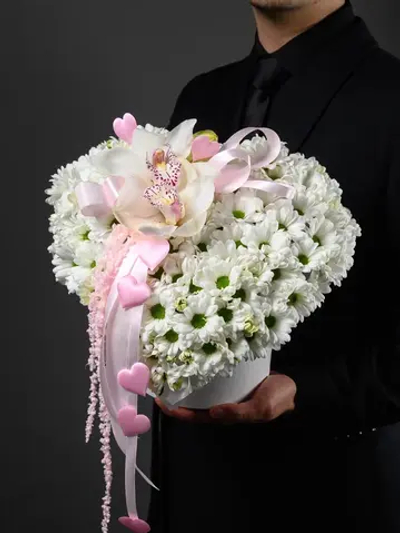 Моя Нежность