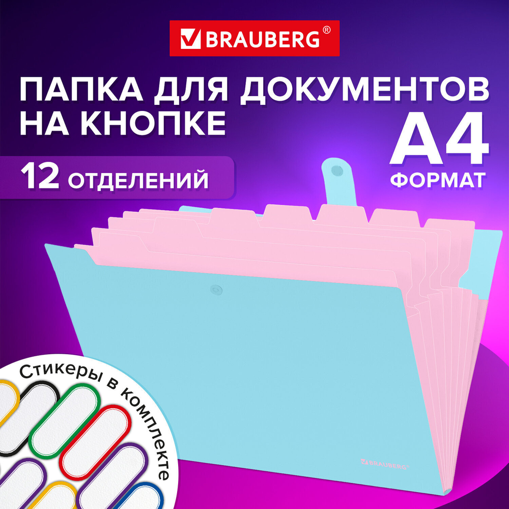 Папка-органайзер на кнопке 12 отделений BRAUBERG "Extra" А4 голубая с розовым (6 штук в упаковке)