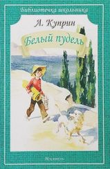 Белый пудель (рассказы)