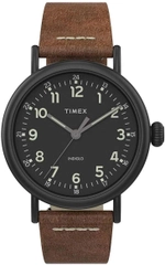 Мужские наручные часы Timex TW2T69300