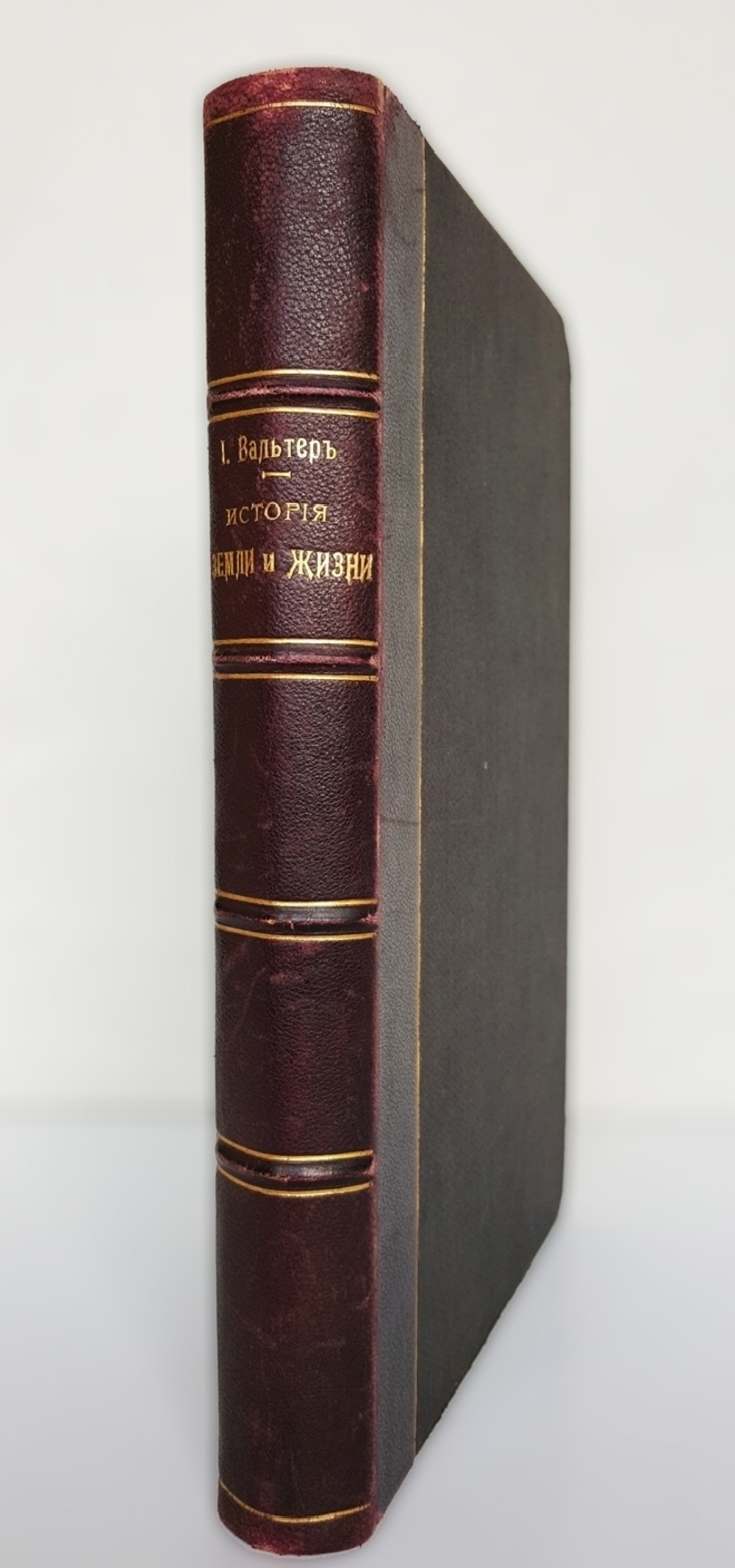 "История земли и жизни. Законы образования пустынь в настоящее и прошлое время". Иоганн Вальтер, профессор геологии и палеонтологии. 1911г. - антикварное издание