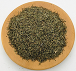 Хвощ полевой